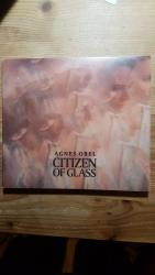 Citizen of Glass