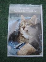 Tierpostkarte Kätzchen Katze Klappkarten mit Umschlag "Freunde für's Leben"