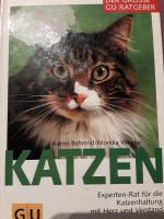 Katzen