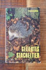 Geliebtes Stacheltier. Verhalten