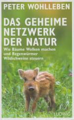 Peter Wohlleben: Das geheime Netzwerk de
