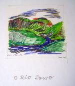 Renate Erna Maria Tiltmann: O Rio Douro 