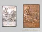 Allgemeine Gartenbau-Ausstellung Hamburg 1897., Silber- und Bronzeplakette.