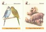 Die Hamsterkiste. Ein Arbeits- und Nachs