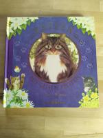 Mortimer, Anne (Illustrationen): Katzen: Mortimer, Anne (Illustrationen): Katzen: