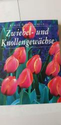 Kleine Gartenschule: Zwiebelgewächse