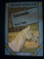 Schneewolke