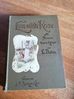 L.Dalson: Eine wilde Rose  Novelle für j