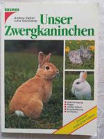 Unser Zwergkaninchen