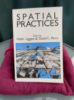 Spatial Practices