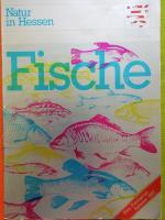 Natur in Hessen    Fische - Fischartenkataster