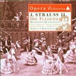 Die Fledermaus