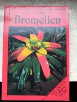 Bromelien