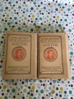 Georg Brandes: Wolfgang Goethe (2 bind)