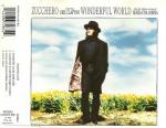 Wonderful World; Audio-CD-Single