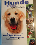 Autorenkollektiv: Hunde -treue Gefährten