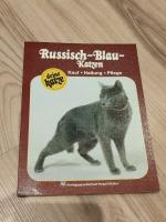 Russisch-Blau-Katzen