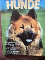Hunde