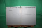 G Wolf-Heidegger: Zur Morphologie der Ni