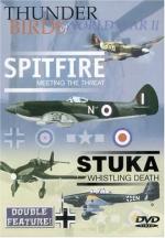 Thunderbirds of World War II - SPITFIRE/ STUKA