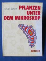 Pflanzen unter dem Mikroskop