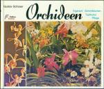 Orchideen. Eigenart, Schnittblumen, Topfkultur, Pflege