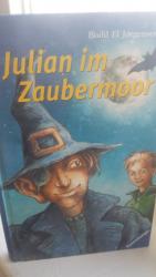 Julian im Zaubermoor