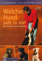 Welcher Hund past zu mir? Der Ratgeber vor dem Hundekauf.