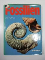 Giovanni Pinna: Fossilien in Farbe.