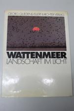 Wattenmeer Landschaft im Licht