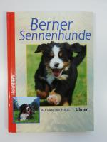 Berner Sennenhunde