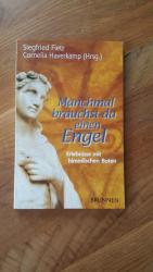 Siegfried Fietz: Manchmal brauchst du ei