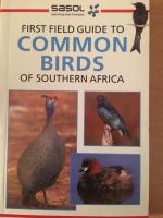 First Field Guide to common birds in South Africa