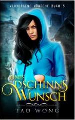 Eines Dschinns Wunsch - Verborgene Wünsche 3 - LitRPG