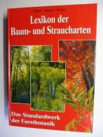 Bäume/Sträucher/Forst/Wald/Pflanzen/Illu Bäume/Sträucher/Forst/Wald/Pflanzen/Illu