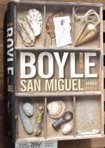 Boyle, T. Coraghessan.: San Miguel : Rom
