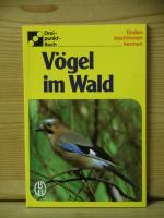 "vögel im wald"