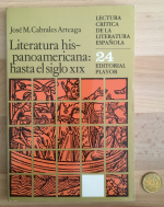 Literatura hispanoamericana: hasta el siglo XIX. Lectura crítica de la literatura española 24.