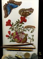 Maria Sibylla Merian: Maria Sibylla Meri Maria Sibylla Merian: Maria Sibylla Meri