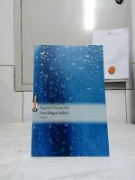 Sascha Pranschke: Den Regen lieben : Rom