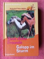 Zwei dicke Freunde / Galopp im Sturm - Buchreihe Reiterhof Rote Mühle