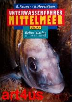 Patzner, Robert und Horst Moosleitner: U Patzner, Robert und Horst Moosleitner: U