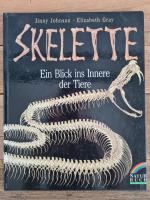 Skelette