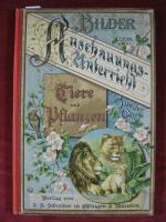 Bilder zum Anschauungsunterricht für die Jugend. 2. Teil: Tiere und Pflanzen. Darstellungen der bekanntesten Tiere und Pflanzen.