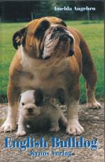 ENGLISH BULLDOG