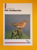 Die Feldlerche - Vogel des Jahres 1998