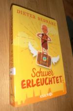 Dieter Bednarz: Schwer erleuchtet