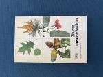 Bäume unserer Wälder Bestimmungsbuch