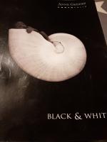 Anne Geddes: Black & White