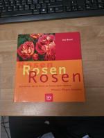 Ute Bauer: Rosen · Rosen · Rosen